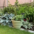 Cot Gdn Beehive Planter Green