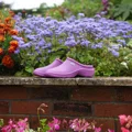 EVA Cloggies