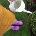 EVA Cloggies