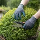 Eco Flex Ultra Topiary Shears